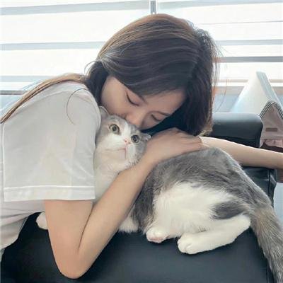 狐狸在手